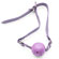 Bondage Kit Purple 8 pcs - Kit Sado de Dominação (Imagem 3 de 7)